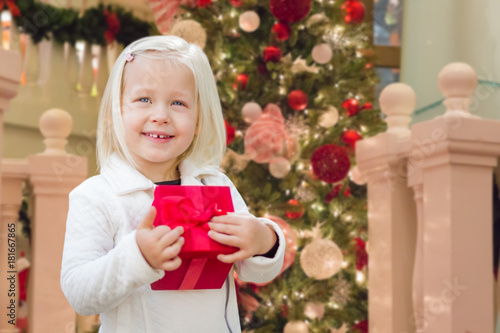 Happy Young Girl Holding Gi...