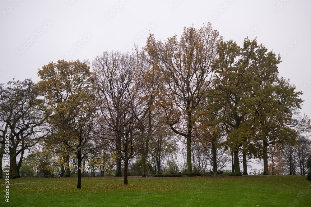 Obraz premium Hamburg, Germany - November 15, 2017: In the park during rain. Germany