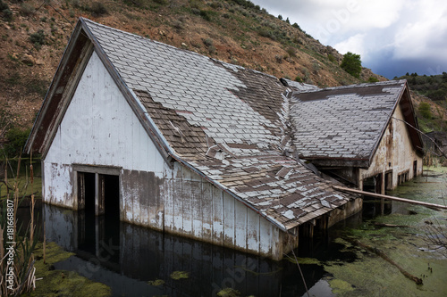 After the Flood