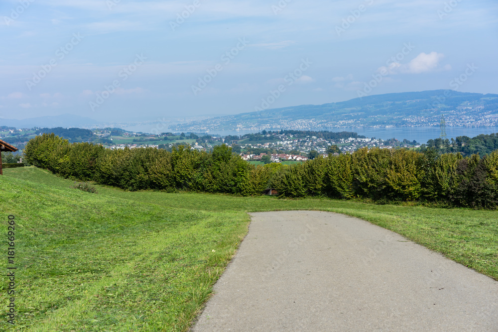 street for hiking in summer switzerland zurich area with mountain back view