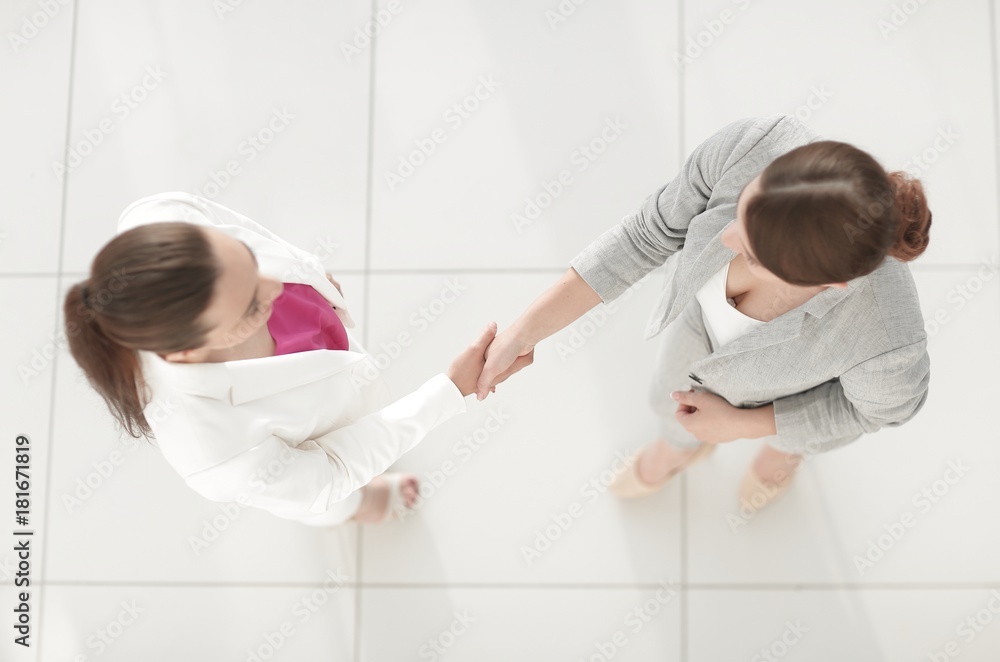 Fototapeta premium handshake of two business woman