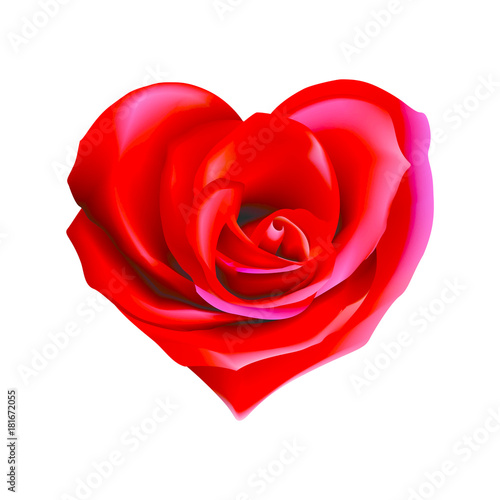 heart valentine rose
