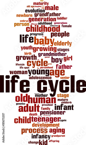 Life cycle word cloud