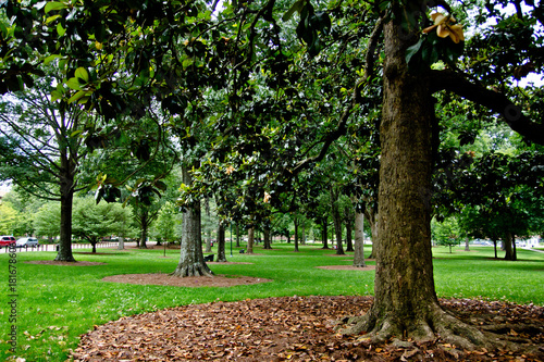 The Grove in Oxford