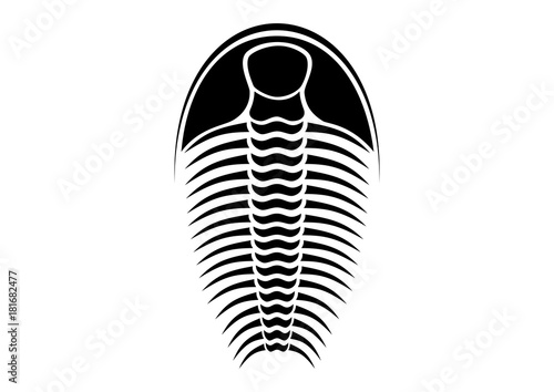 trilobite - black and white vector photo