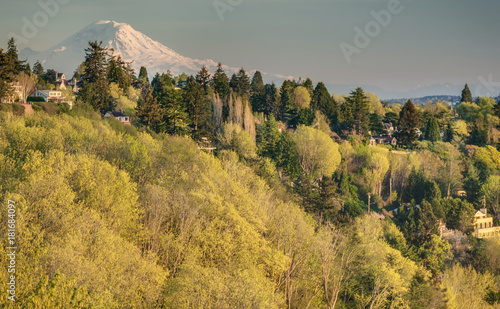 Sunset Illuminates Mount Rainier and Spring Foliage in Discovery Park