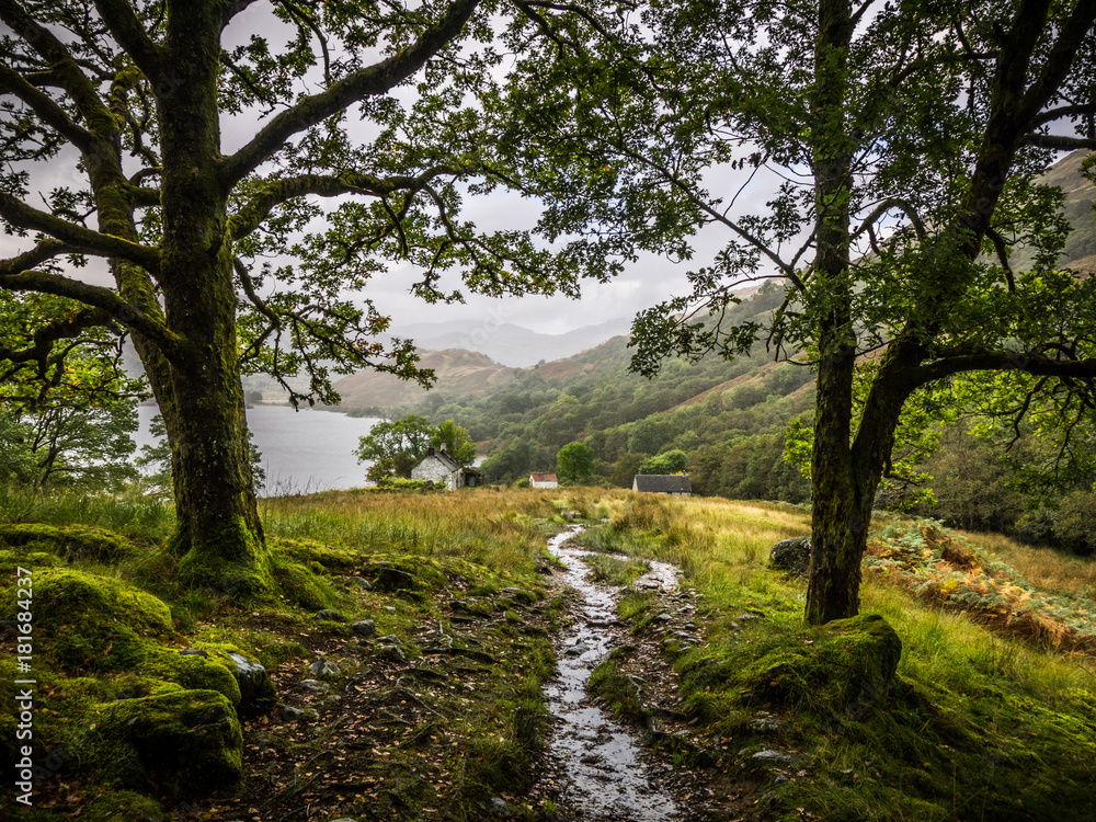 walking on the west highland way near loch lomond, scotland walking on the west highland way near loch lomond, scotland