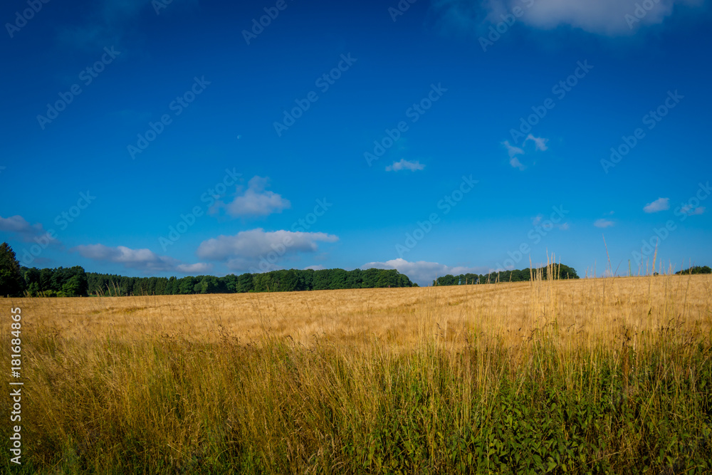 Gerstenfeld