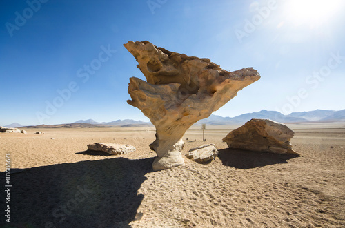 Stone tree Arbol de Piedra on the plateau Altiplano, Bolivia