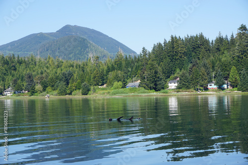 Ucluelet Inlet, BC