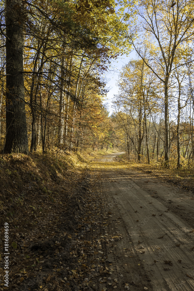 Fototapeta premium Fall Colors on the 6th Lake road