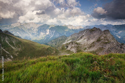 alpine green meadows in summer