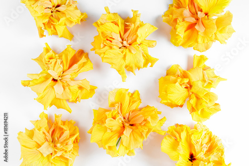 yellow hibiscus flower