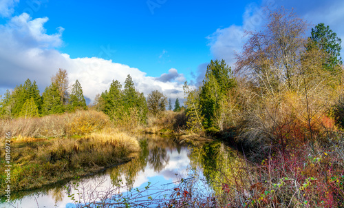 Beards Cove
