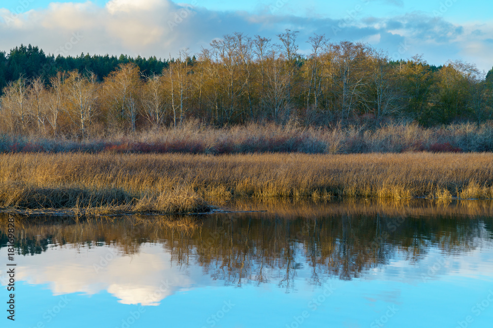 Beards Cove