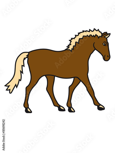 laufen gehen pferd pony reiten schnell pferdchen klein spa   schnell comic cartoon reiter sch  n s     niedlich