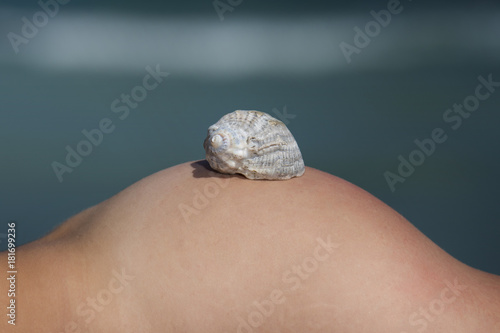 Seashell on female body part photo