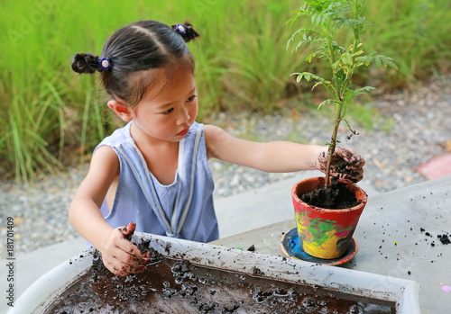 Little asian child girl planting the tree in pot.