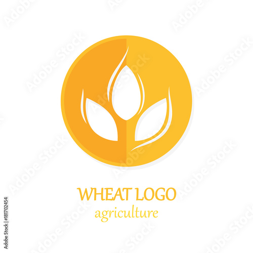 Agriculture Wheat Logo Icon Design Template Vector Illustration