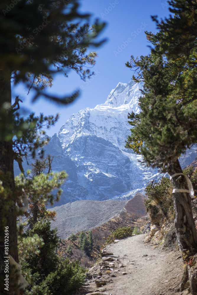 Snowcapped Peak and Forest in the Himalaya mountains, Annapurna region, Nepal