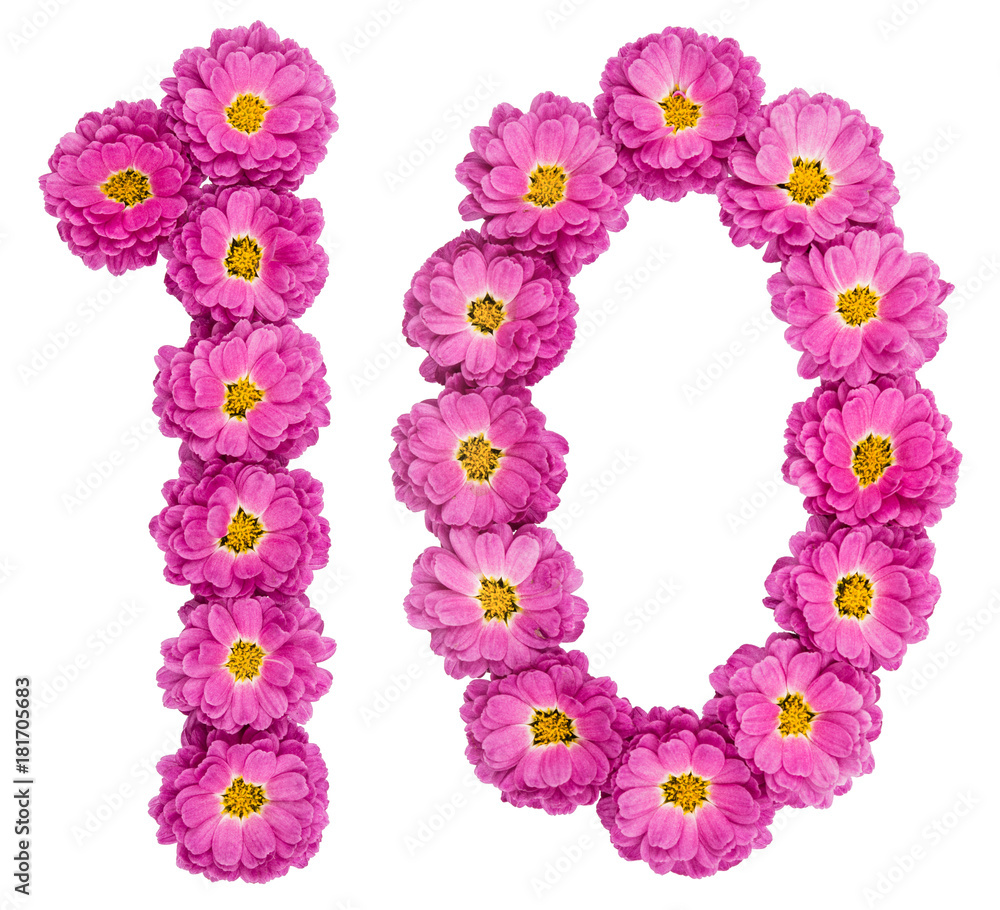Arabic numeral 10, ten, from flowers of chrysanthemum, isolated on white background