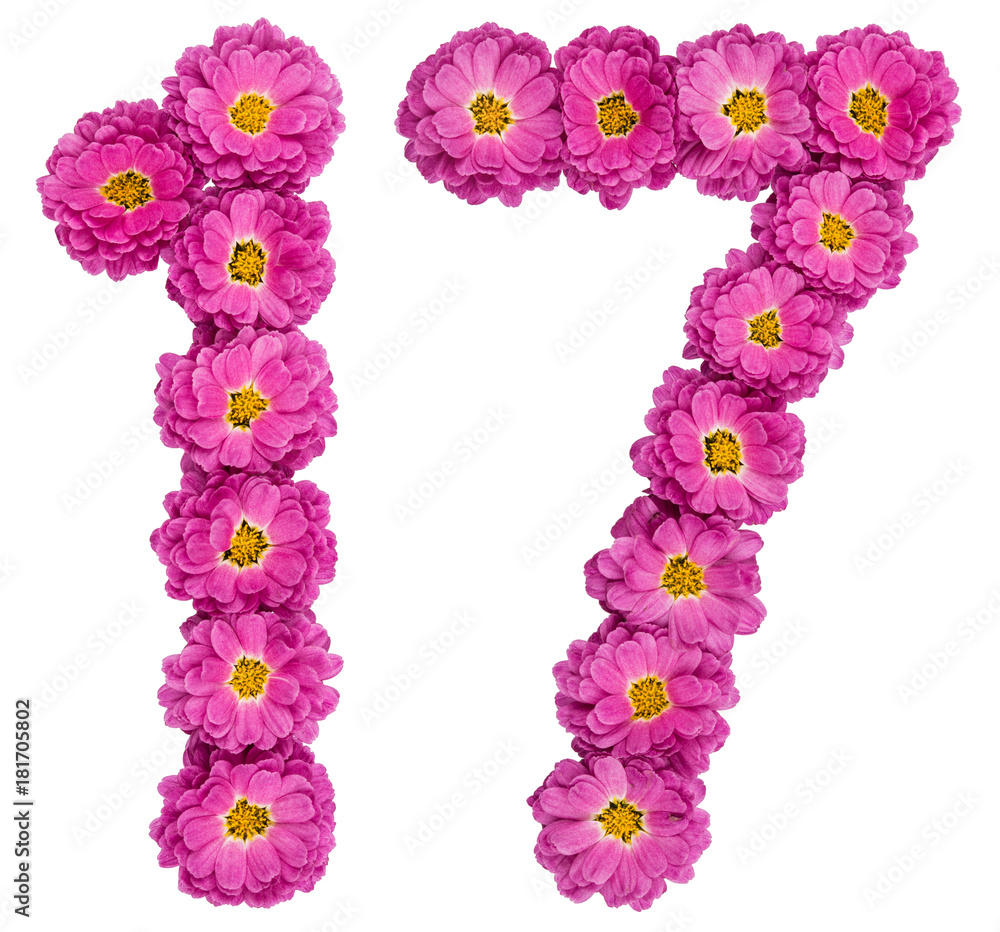 Arabic numeral 17, seventeen, from flowers of chrysanthemum, isolated on white background