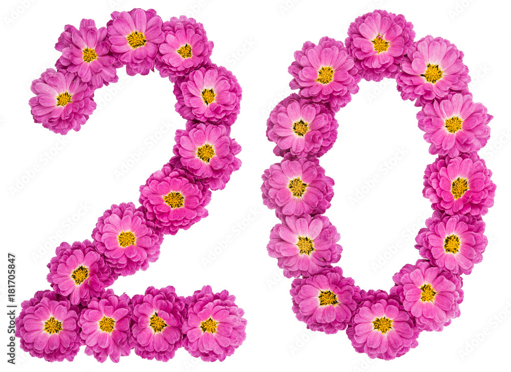 Arabic numeral 20, twenty, from flowers of chrysanthemum, isolated on white background