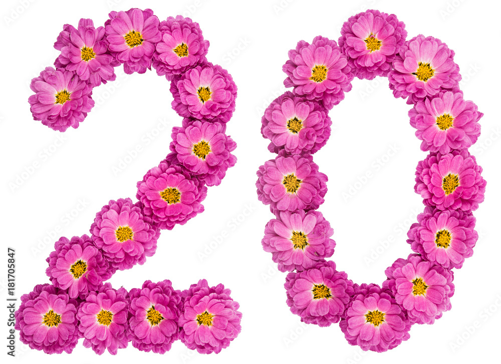 Arabic numeral 20, twenty, from flowers of chrysanthemum, isolated on white background Arabic numeral 20, twenty, from flowers of chrysanthemum, isolated on white background