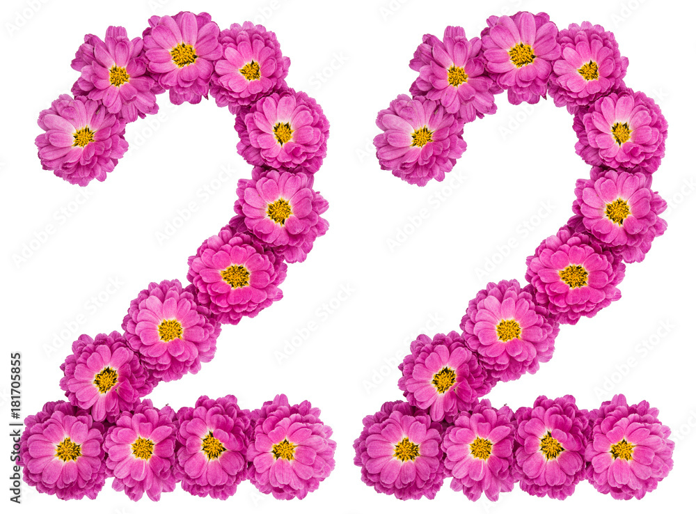 Arabic numeral 22, twenty two, from flowers of chrysanthemum, isolated on white background