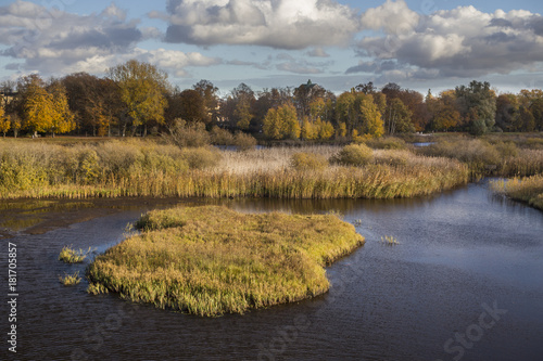 A small wetland with reedbeds along shores in Kristianstad, Sweden