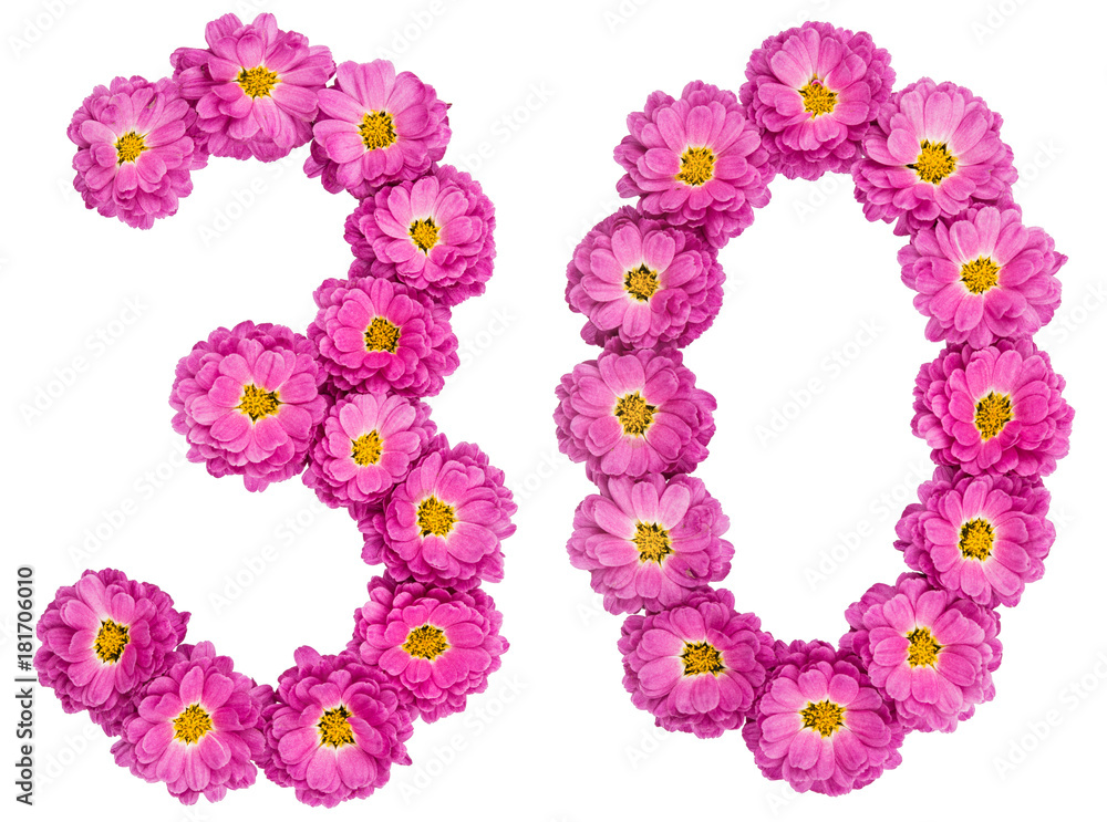 Arabic numeral 30, thirty, from flowers of chrysanthemum, isolated on white background