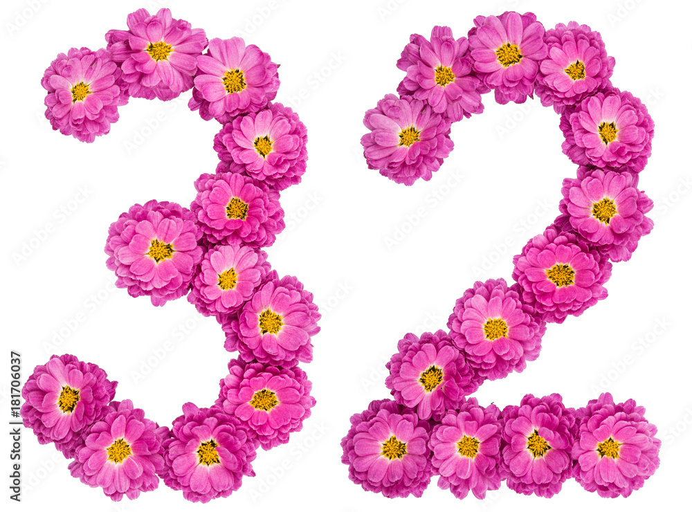 Arabic numeral 32, thirty two, from flowers of chrysanthemum, isolated on white background