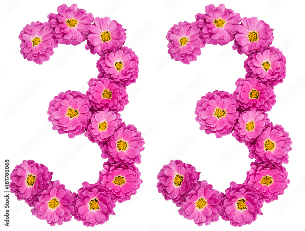 Arabic numeral 33, thirty three, from flowers of chrysanthemum, isolated on white background