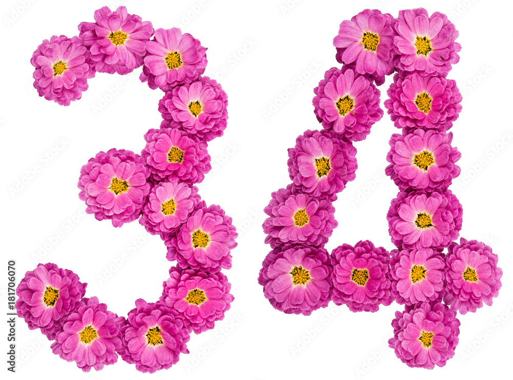 Arabic numeral 34, thirty four, from flowers of chrysanthemum, isolated on white background