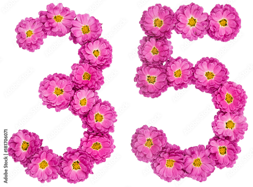 Arabic numeral 35, thirty five, from flowers of chrysanthemum, isolated on white background