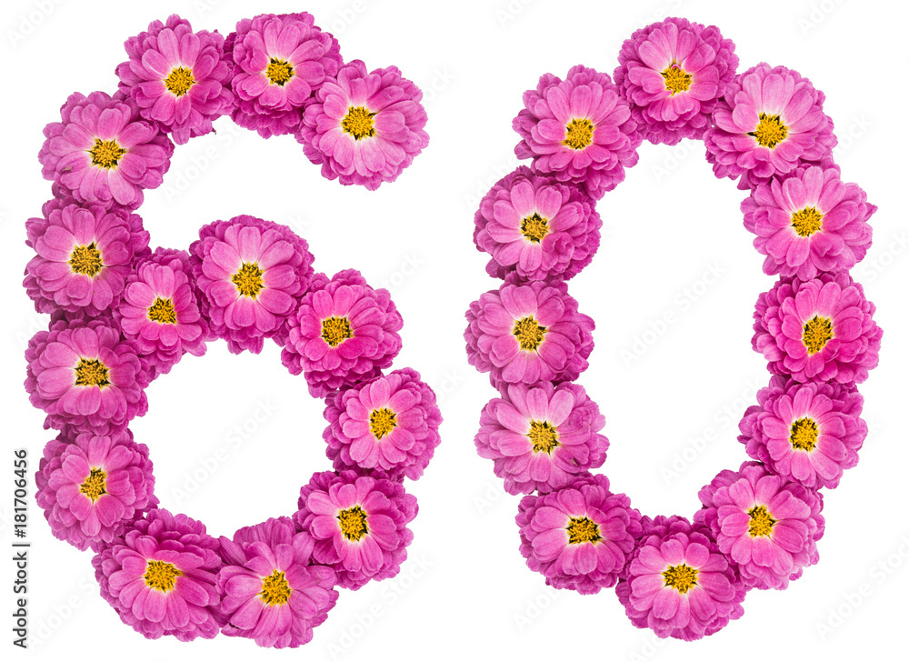 Arabic numeral 60, sixty, from flowers of chrysanthemum, isolated on white background
