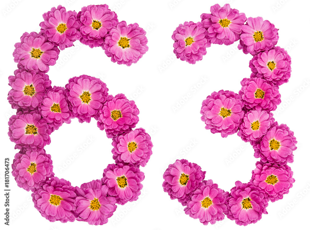 Arabic numeral 63, sixty three, from flowers of chrysanthemum, isolated on white background