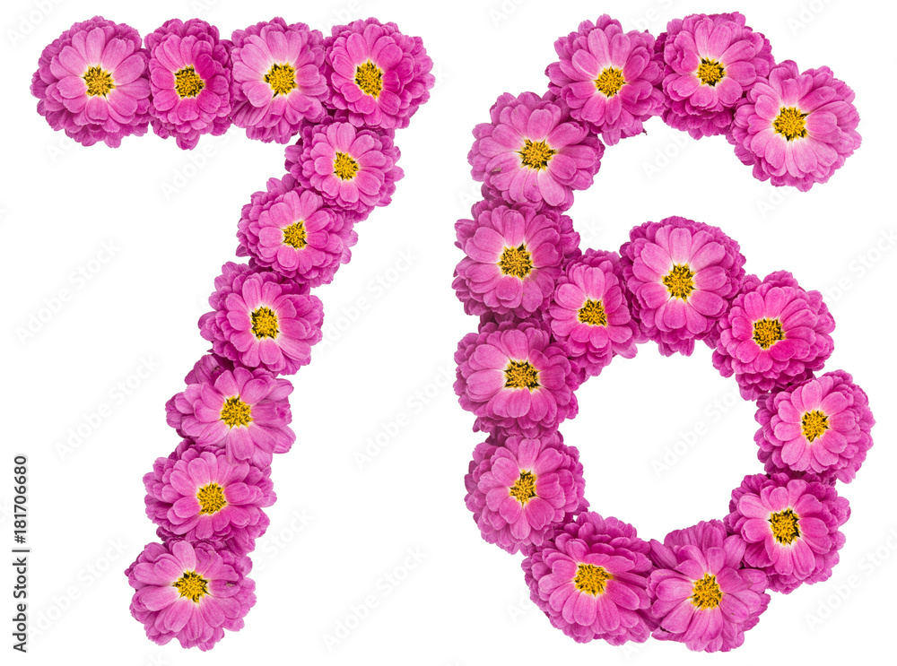 Arabic numeral 76, seventy six, from flowers of chrysanthemum, isolated on white background