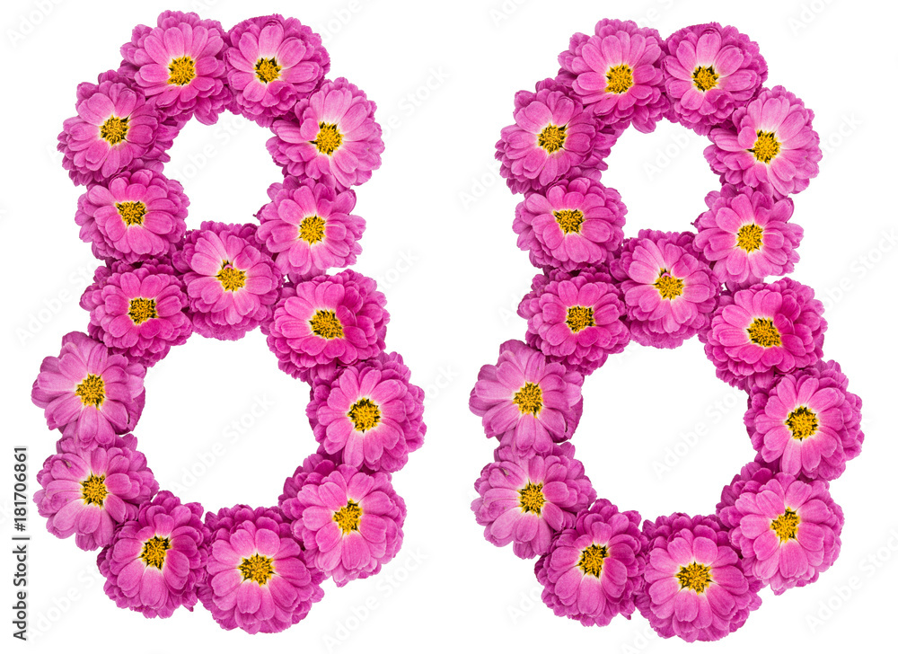 Arabic numeral 88, eighty eight, from flowers of chrysanthemum, isolated on white background Arabic numeral 88, eighty eight, from flowers of chrysanthemum, isolated on white background