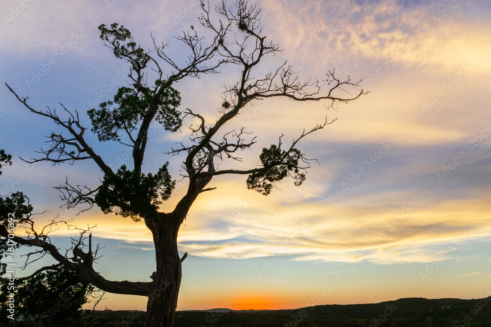 360 Bridge Overlook Sunset