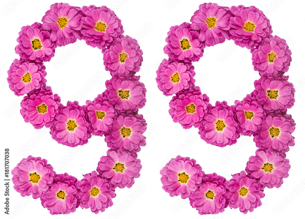 Arabic numeral 99, ninety nine, from flowers of chrysanthemum, isolated on white background Arabic numeral 99, ninety nine, from flowers of chrysanthemum, isolated on white background