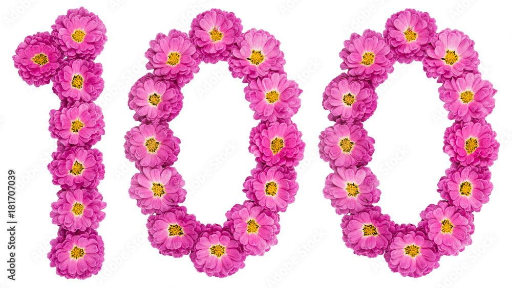 Arabic numeral 100, one hundred, from flowers of chrysanthemum, isolated on white background Arabic numeral 100, one hundred, from flowers of chrysanthemum, isolated on white background