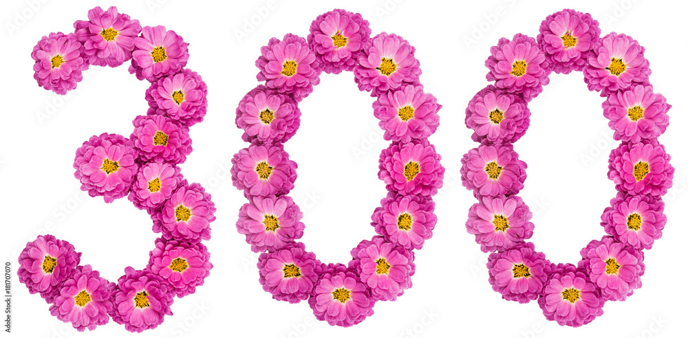Arabic numeral 300, three hundred, from flowers of chrysanthemum, isolated on white background