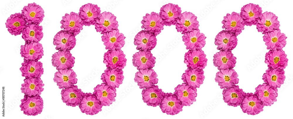 Arabic numeral 1000, one thousand, from flowers of chrysanthemum, isolated on white background Arabic numeral 1000, one thousand, from flowers of chrysanthemum, isolated on white background