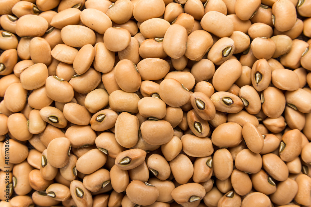 Cowpea legume. Closeup of grains, background use. Cowpea legume. Closeup of grains, background use.
