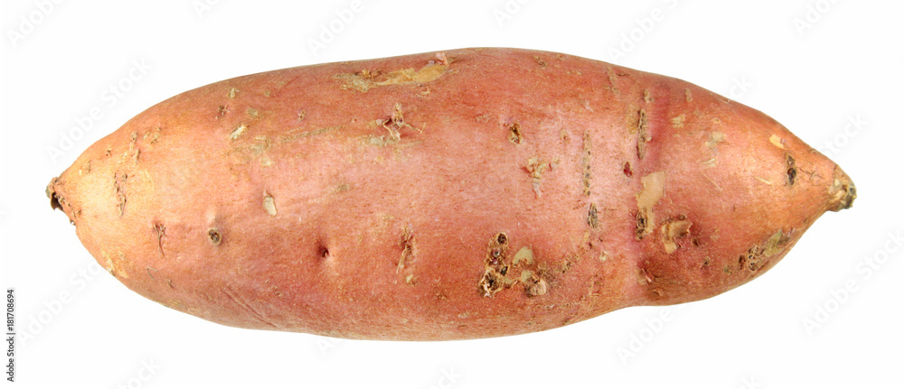 Sweet potato root isolated on white background Sweet potato root isolated on white background
