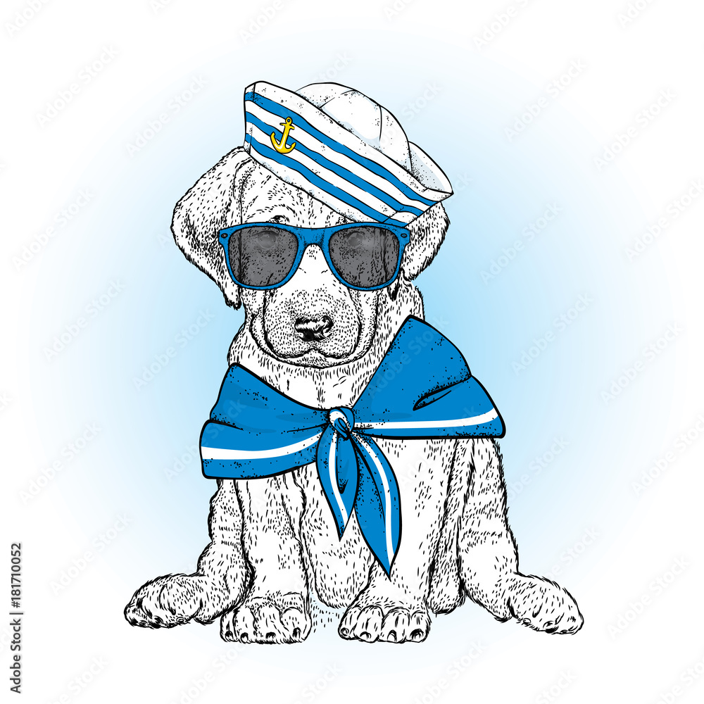 Fototapeta premium A beautiful dog in sailor clothes. Vector illustration. Animal in clothes and accessories. A sailor in a cap and tie. Purebred puppy.