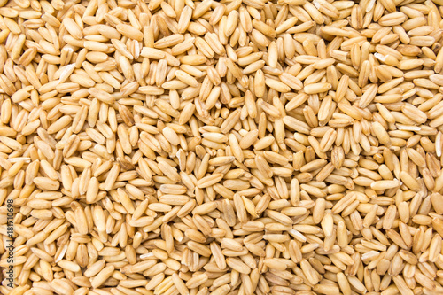 Oat cereal grain. Closeup of grains, background use.