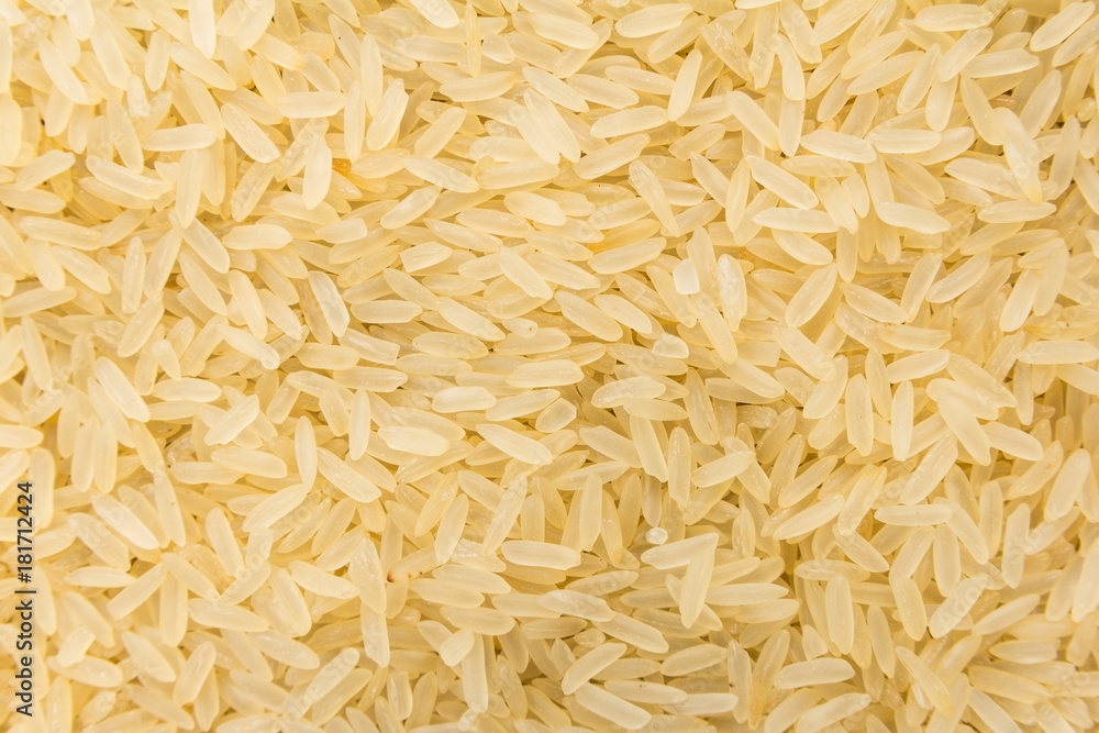 Parboiled Chinese Rice seed. Closeup of grains, background use. Parboiled Chinese Rice seed. Closeup of grains, background use.