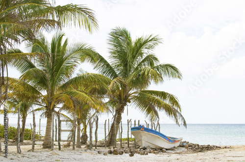 Beach with fishing boat and coconuts by the ocean with palm trees and rustic fence